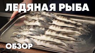 Ледяная рыба. Обзор гастрономичного продукта для Horeca от Мореодор. Шеф-повар Сергей Лигай