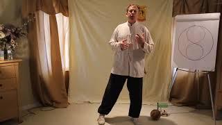 tai chi ball basics  vertical and horizontal yin yang symbol exchanging