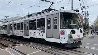 Cat Train in Tokyo