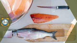 How To Fillet A Fish - Easy Instructions