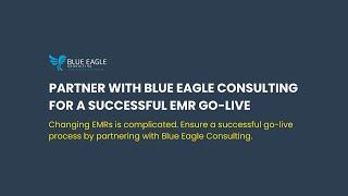 Partner with Blue Eagle Consulting for a Successful EMR Go-Live