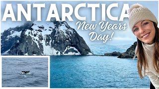 Cruising Antarctica: Elephant Island on the Norwegian Star | New Years Day 2024