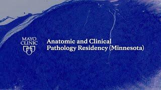 Mayo Clinic Anatomic and Clinical Pathology (AP/CP) Residency – Rochester, Minnesota