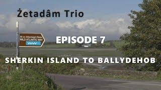 Zetadam Trio | Ballydehob