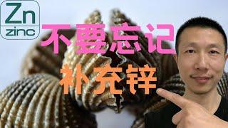 缺锌会导致哪些问题？根源在哪里？如何解决？