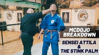 McDojo Breakdown: Sensei Attila and the Stink Palm