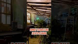 Social Cause Cafe in Mumbai | Things to do in Mumbai | Rajeev Vlogs | Bombay to Barcelona Cafe