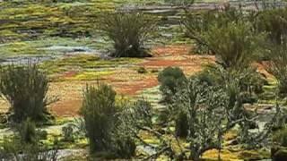 Parque Nacional Natural Sumapaz