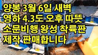 양봉 3월 6일 새벽 영하 4 3도 오후 따뜻 소문비행 왕성 착륙판 제작 판매합니다