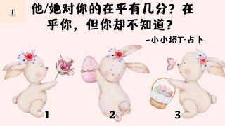 小小塔他/她对你的在乎有几分？在意的程度？也许你并不知道…