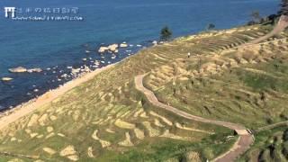 [日本中部北陸遊記]能登半島一天旅行