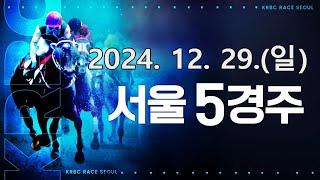 (서울) 2024.12.29 5경주