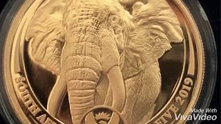 Unboxing South African Mint Big 5 series elephant gold coin