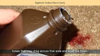 Rugdoctor Hudson Pasco County