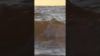 파도소리를 통한 당신의 휴식, 힐링 뮤직 Your rest through the sound of waves with HEALING MUSIC