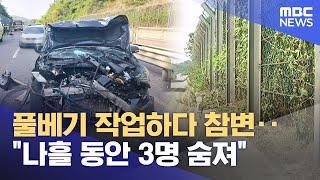 풀베기 작업하다 참변‥"나흘 동안 3명 숨져" (2025.06.18/뉴스데스크/대전MBC)