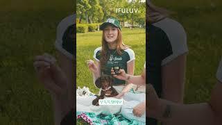 [IFULUV 이퓨럽] STREET PET-OGRAPHY 007 (스트릿 펫토그래피) #강아지산책 #강아지 #이퓨럽 #이퓨럽TV #ifuluv #ifuluvtv  @IFULUVTV