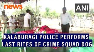 Kalaburagi Police in Karnataka performs last rites of crime squad dog Rita