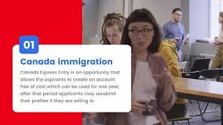 AmEuro Migration - Visa and Immigration Consultancy in Delhi