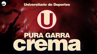 La Trinchera Norte | Oh Crema Vamos... (En vivo) | Universitario de Deportes | Music MGP