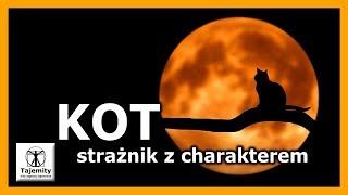 Kot - strażnik z charakterem