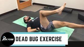 Low Back Pain Core Exercises | San Diego Chiropractic