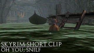 Skyrim: oh you snilf.