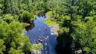 New Orleans Kayak Swamp Tour - Shell Bank Bayou