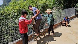 " Ước Mơ Hấu Chua " Bà Con đã hoàn Thành Tường Rào Ở Trước Điểm Trường Học | MỶ VLOG