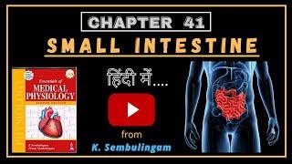 Small Intestine and Food Absorption || Physiology || Medicozee