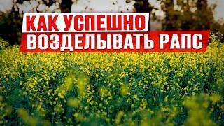 Чем обрабатывать рапс? | Технология возделывания рапса | Защита рапса