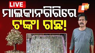 Live | Malkangiriରେ ଲାଗିଛି ଟଙ୍କା ଗଛ! | Odisha Vigilance | Vigilance Raid |  | Koraput | OTV