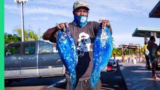 Bizarre Bahamas!! More Unseen EXTREME Seafood!!