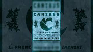 * Canibus Remix * “Princibly This” * Produced by G-TEE *