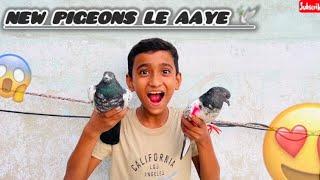 New Pigeons Le Aaye  | Razi Ali Vlogs