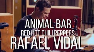 Animal Bar - Red Hot Chili Peppers - Drum Cover - Rafael Vidal