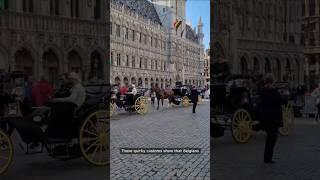 Quirky Belgian Traditions..!!! #shortvideo #travel #facts #countrycuriosities #history