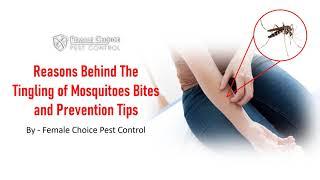 Reasons Behind The Tingling of Mosquitoes Bites and Prevention Tips | Mosquito Prevention