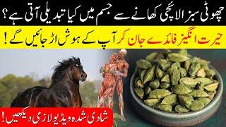 Surprising Benefits of Green Cardamom || Sabz Elaichi ke Fayde || Health Boost || Islam Advisor