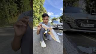 Big RC Flying Birds Unboxing & Testing #short #birds #unboxing