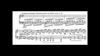 Vladimir Horowitz plays Schumann Fantasie op. 17 in C major [3/3]