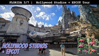 Hollywood Studios und EPCOT ::: Florida 2024 | E03