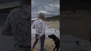 dog startles a beachgoar. #youtube #funny #youtubeshorts #dailydose #top10videos #viral #viralvideo