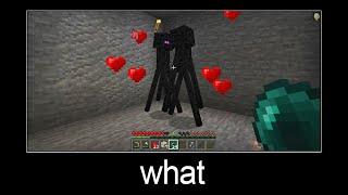 Minecraft wait what meme part 23