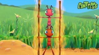 Fire Ants  | ANTIKS | Funny Cartoons For All The Family!