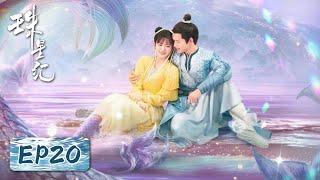 EP20 | 神探追爱小鲛妻甜蜜断案 | ENG SUB【珠星纪 The Mermaid's Pearl】| 腾讯视频