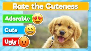 Rate the Cutest Dog | Dog Breed Tier List