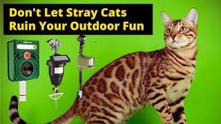 Best Outdoor Cat Repellent -Don't Let Stray Cats Ruin Your Outdoor Fun