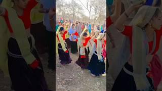 1ㅤ 2ㅤ ⎙ㅤ ⌲5Timli Lover ..#timli  #trending #timlidance #adivasi#trending#sorts#song