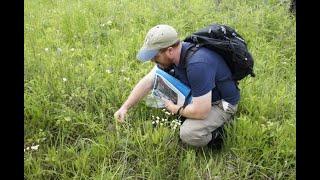 Natural Northwest Arkansas: The Natural Heritage Inventory of Benton and Washington Counties